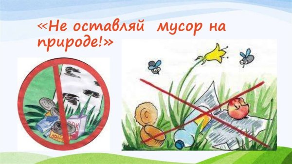 Не мусорить в лесу