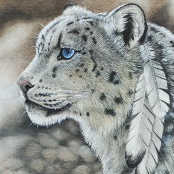 Снежный Барс Эльвира Насонова