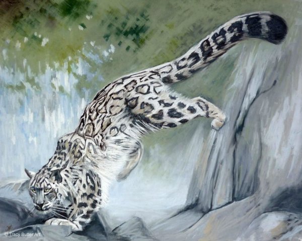 Тан Цзян художник снежный Барс Ирбис