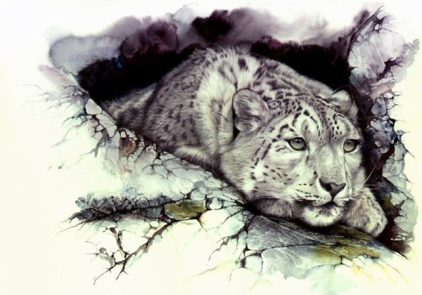 Питер Уильямс художник анималист портрет