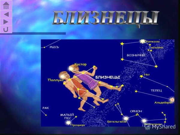 Созвездие зодиака Близнецы