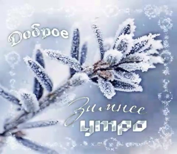 Доброе Снежное утро и хорошего дня