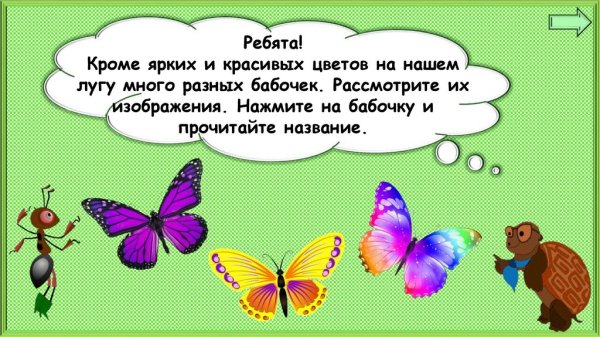 Урок окружающего мира 1 класс