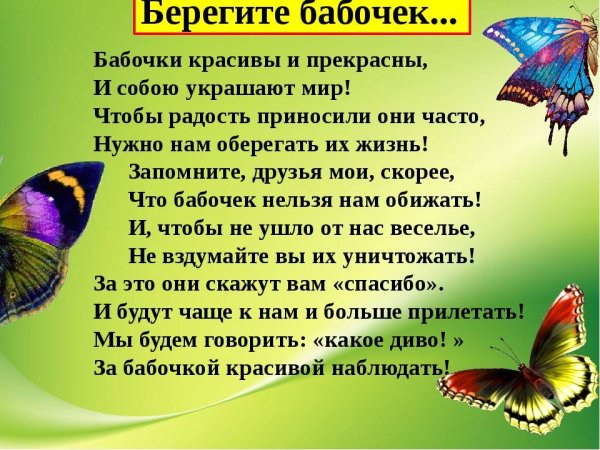 Интересное о бабочках для детей