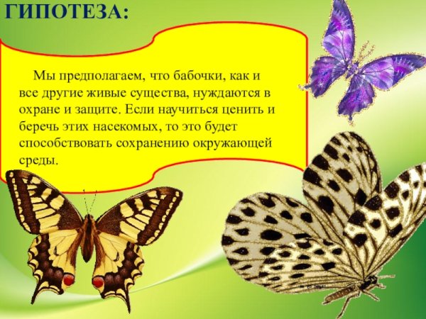 Проект на тему бабочки