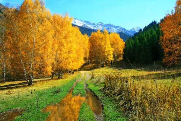 Золотая осень в Казахстане