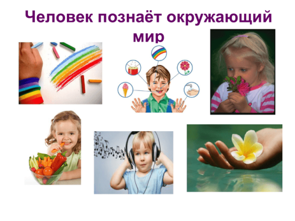 Как человек познает окружающий мир