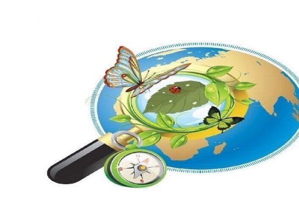 Окружающий мир начальная школа