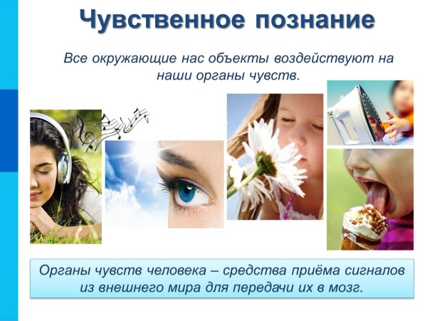 Чувственное познание мира