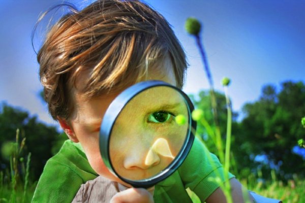 Любопытный ребенок