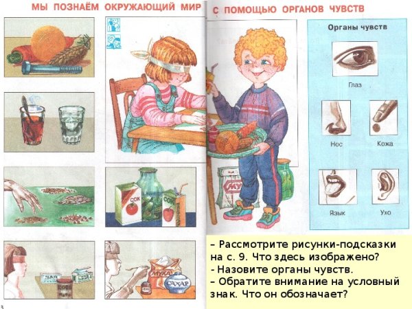 Познание окружающего мира с помощью органов чувств