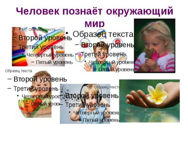 Человек познает окружающий мир