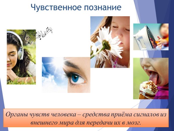 Чувственное познание это познание