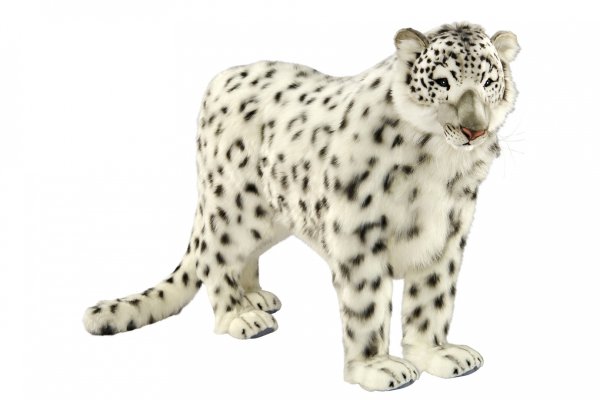 Барс на белом фоне