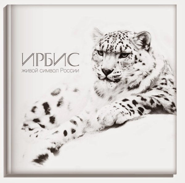 Снежный Барс Ирбис