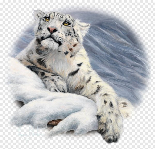 Снежный Барс Ирбис