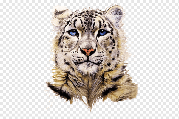 Снежный Барс на белом фоне