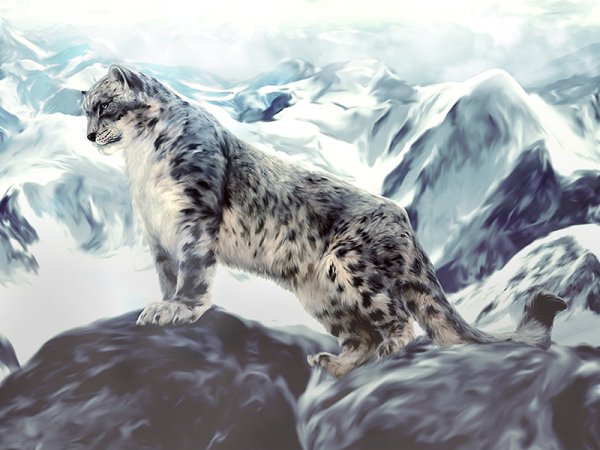 Снежный Барс в горах Алтая