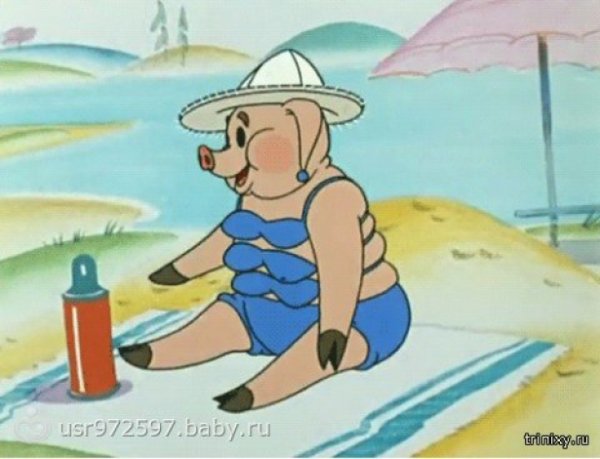 Свинка из ну погоди на пляже