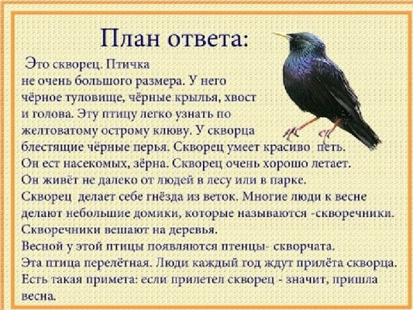 Произведения о перелетных птицах для дошкольников