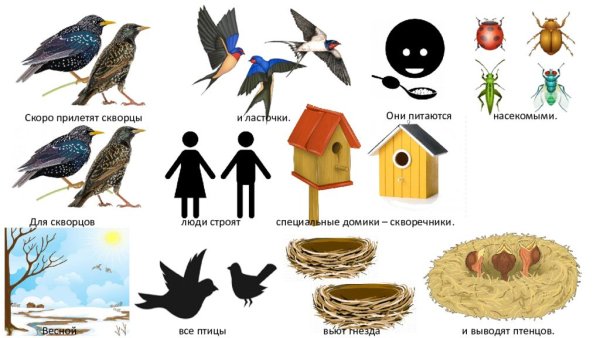 Тема перелетные птицы