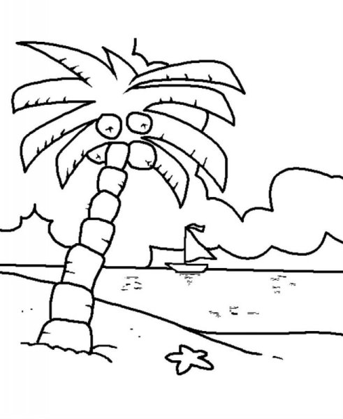 Раскраски пальмы
