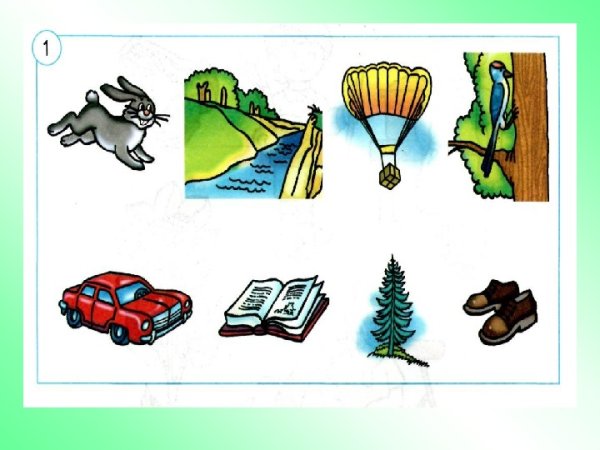 Живая и неживая природа 1 класс