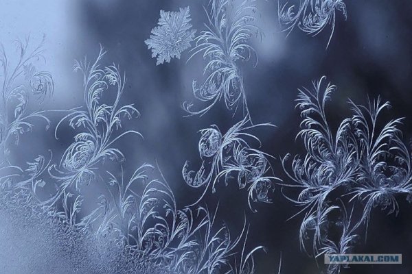 Узоры для рисования на стекле
