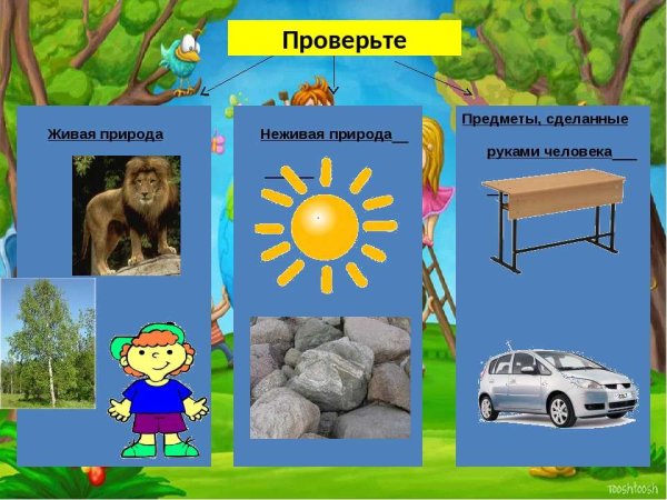 Живая и неживая природа