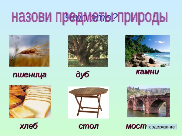 Природные и рукотворные предметы