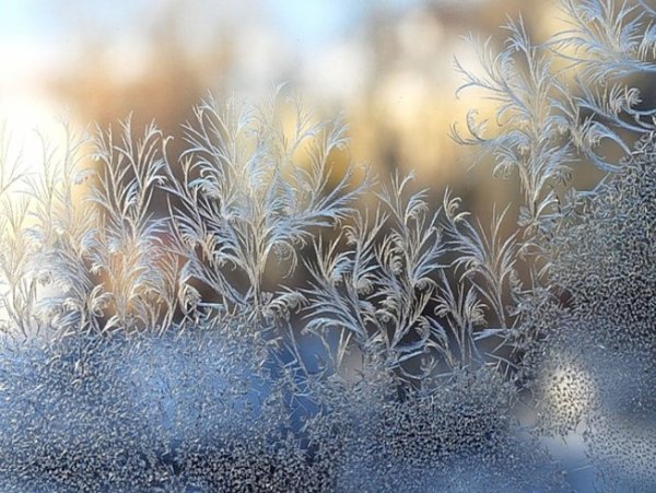 Зимние узоры на окнах