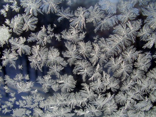 Зимние узоры