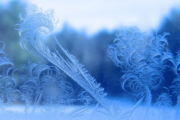 Узоры Мороза