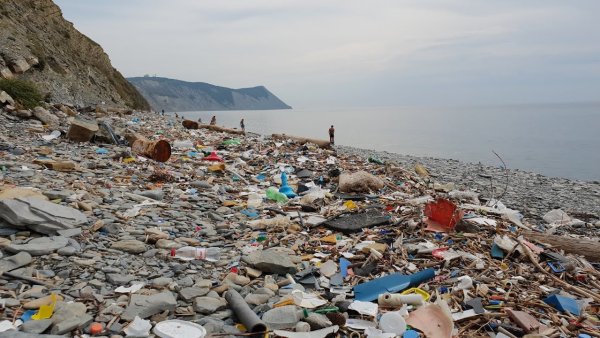 Анапа пляж мусор