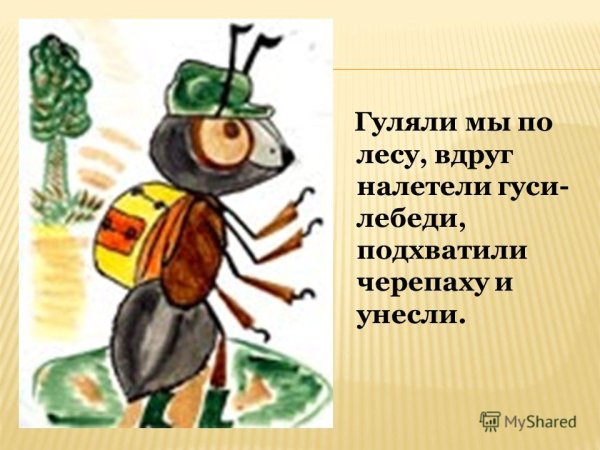 Муравей вопросик и мудрая черепаха