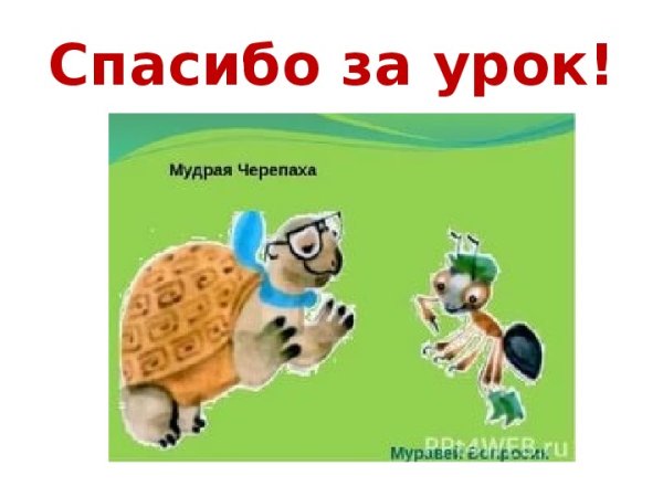 Мудрая черепаха