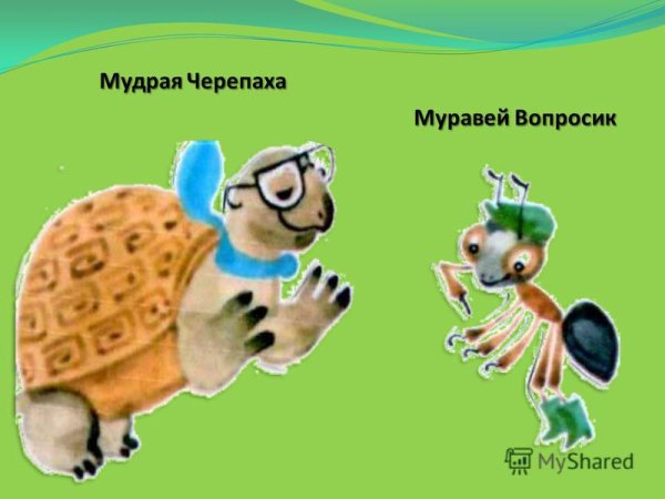 Мудрая черепаха