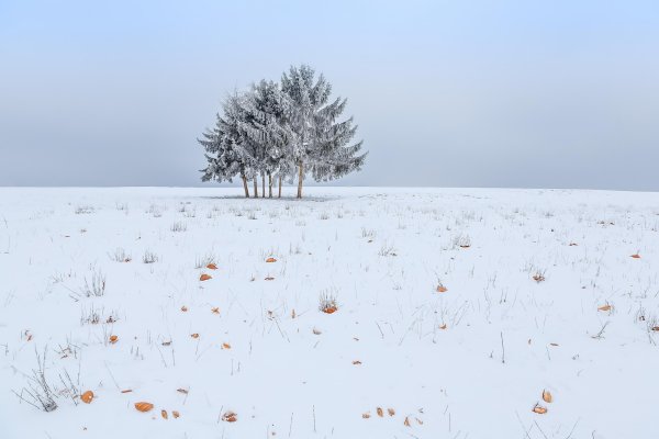 Снежное поле