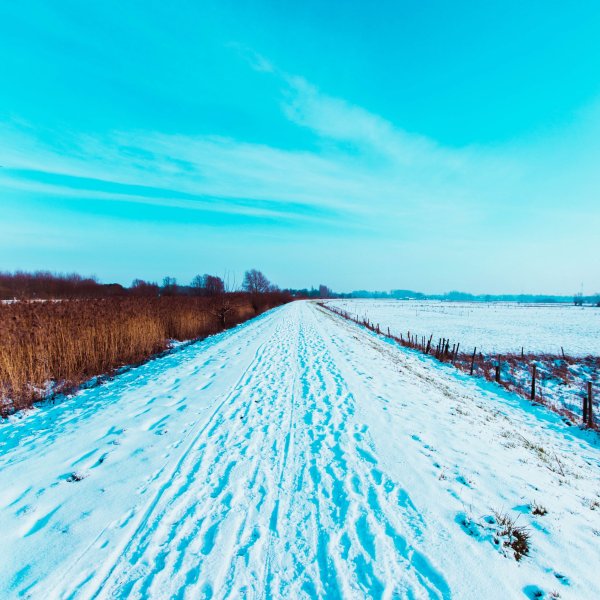 Дорога поле зима снег
