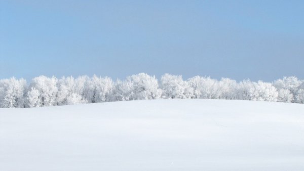 Заснеженное поле