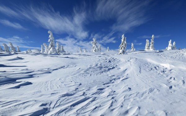 Снежное поле