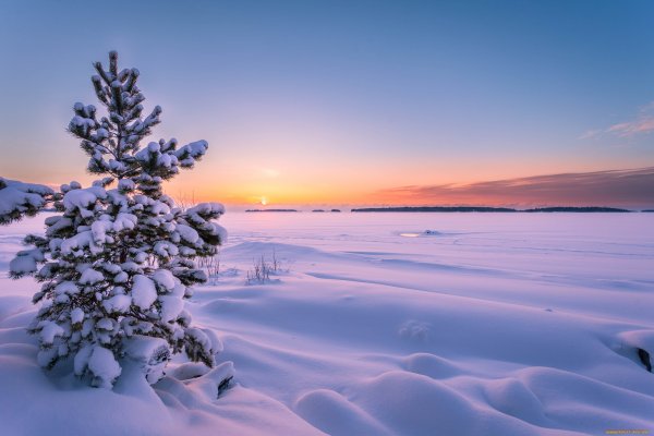 Зима снег поле