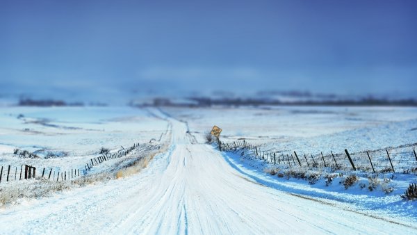 Зимнее поле