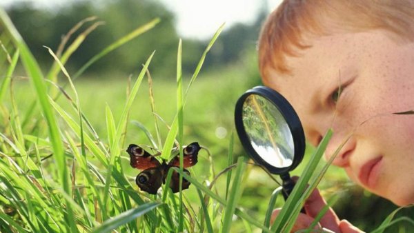 Дети наблюдают