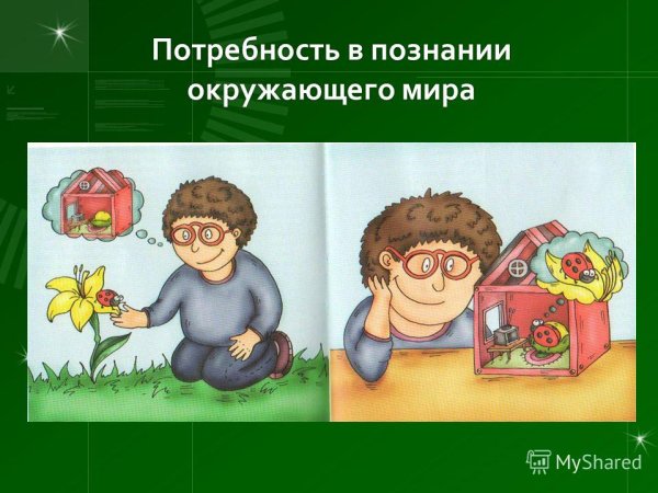 Потребность в познании окружающего мира