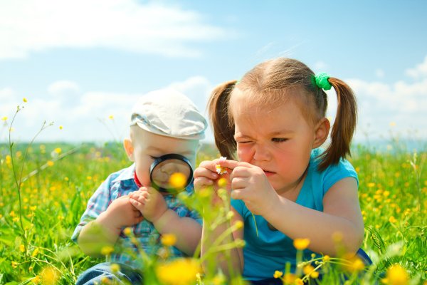 Подражание природе