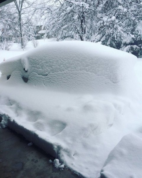 Откопал снег