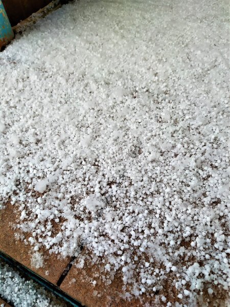 Снежные зерна