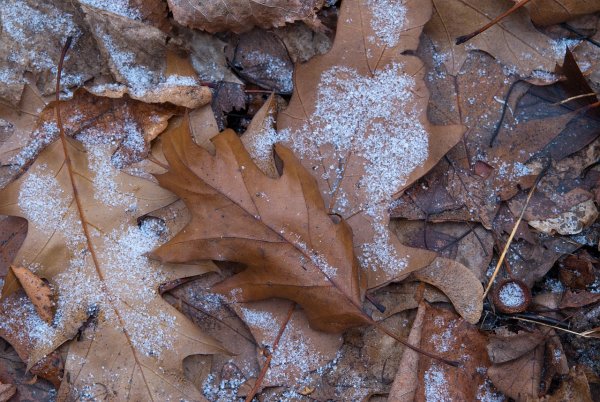 Снежная крупа