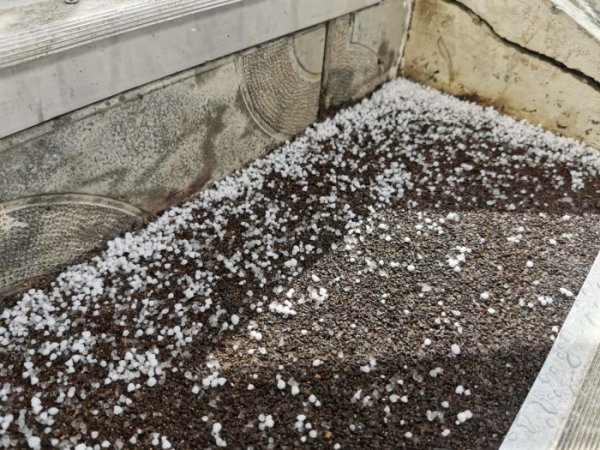 Снежные зерна